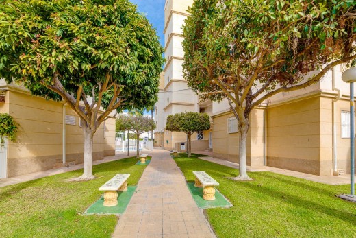 Sale - Apartment - Torrevieja - Playa de los locos