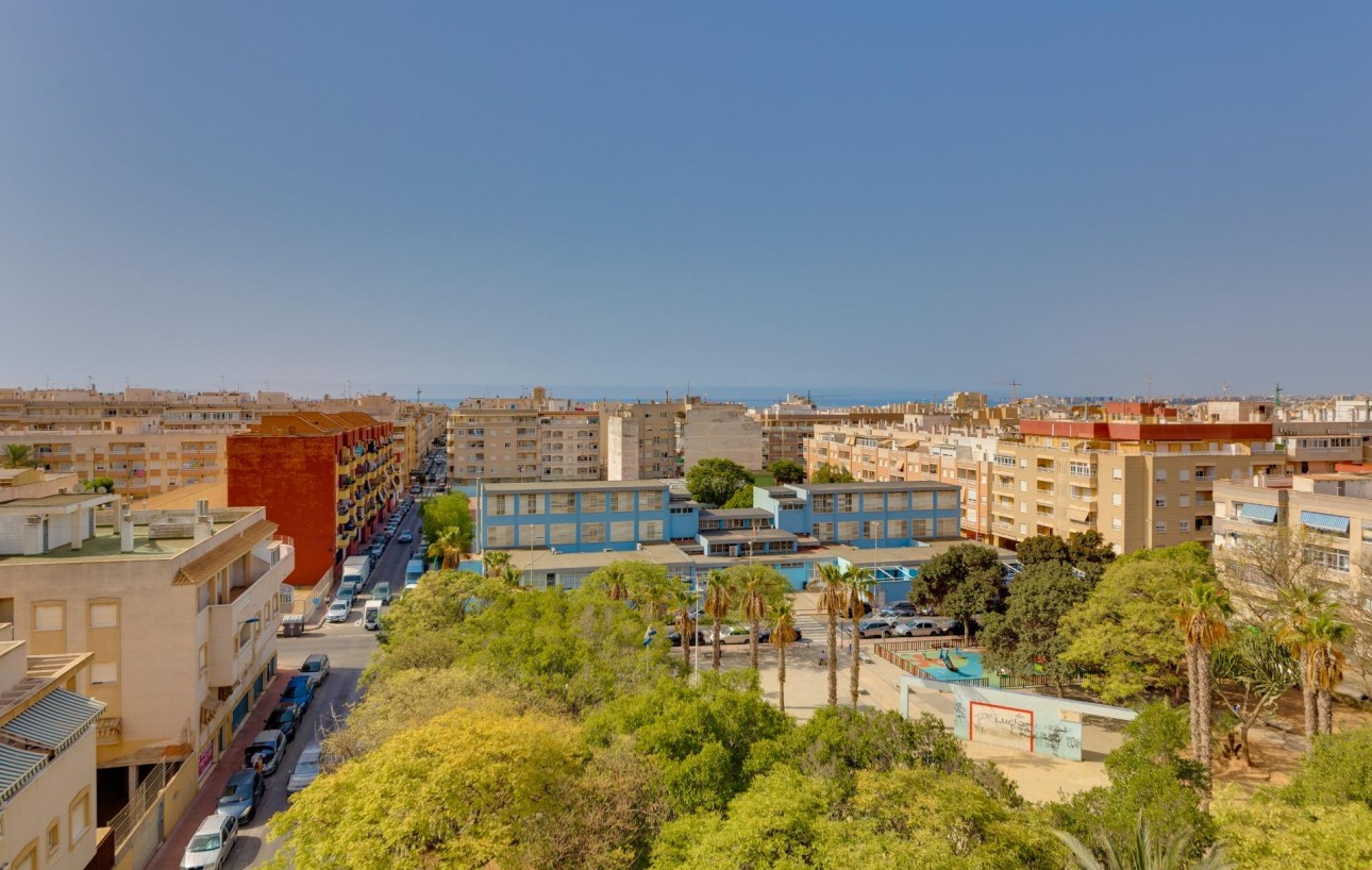 Venta - Apartamento - Torrevieja - Nueva Torrevieja