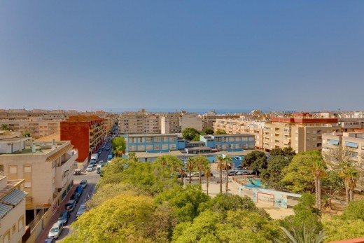 Venta - Apartamento - Torrevieja - Nueva Torrevieja