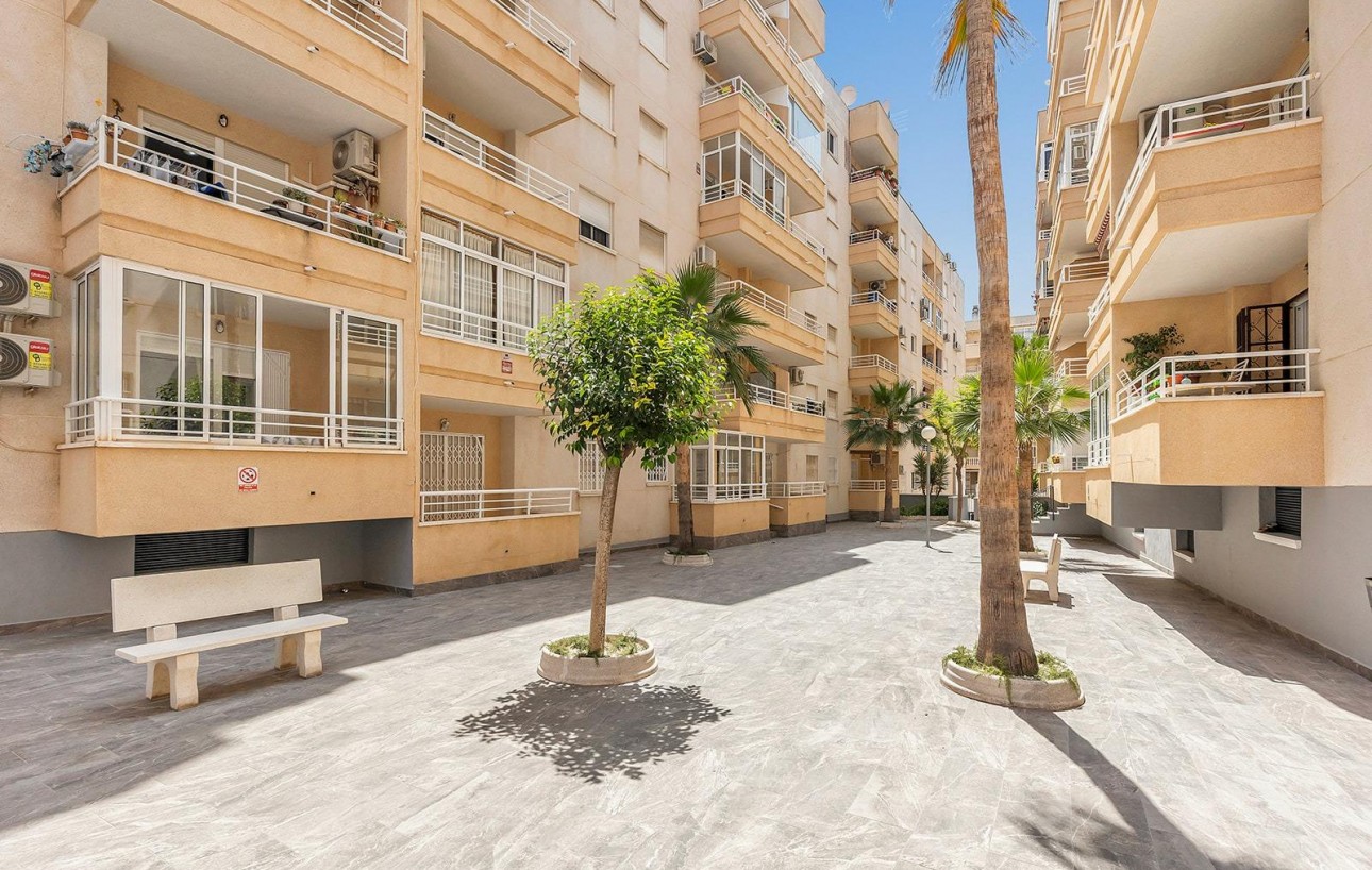 Venta - Ático - Torrevieja - Estacion de autobuses