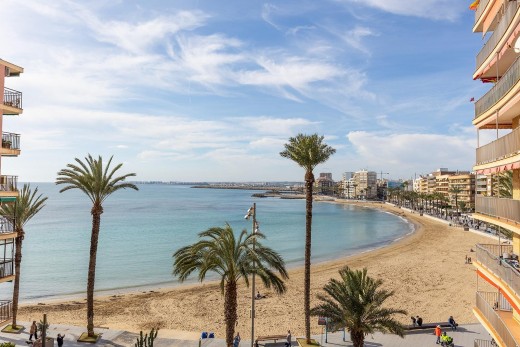 Venta - Ático - Torrevieja - Estacion de autobuses