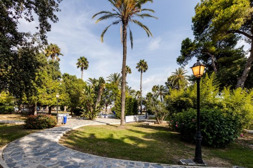 Resale - Penthouse - Torrevieja - Acequion