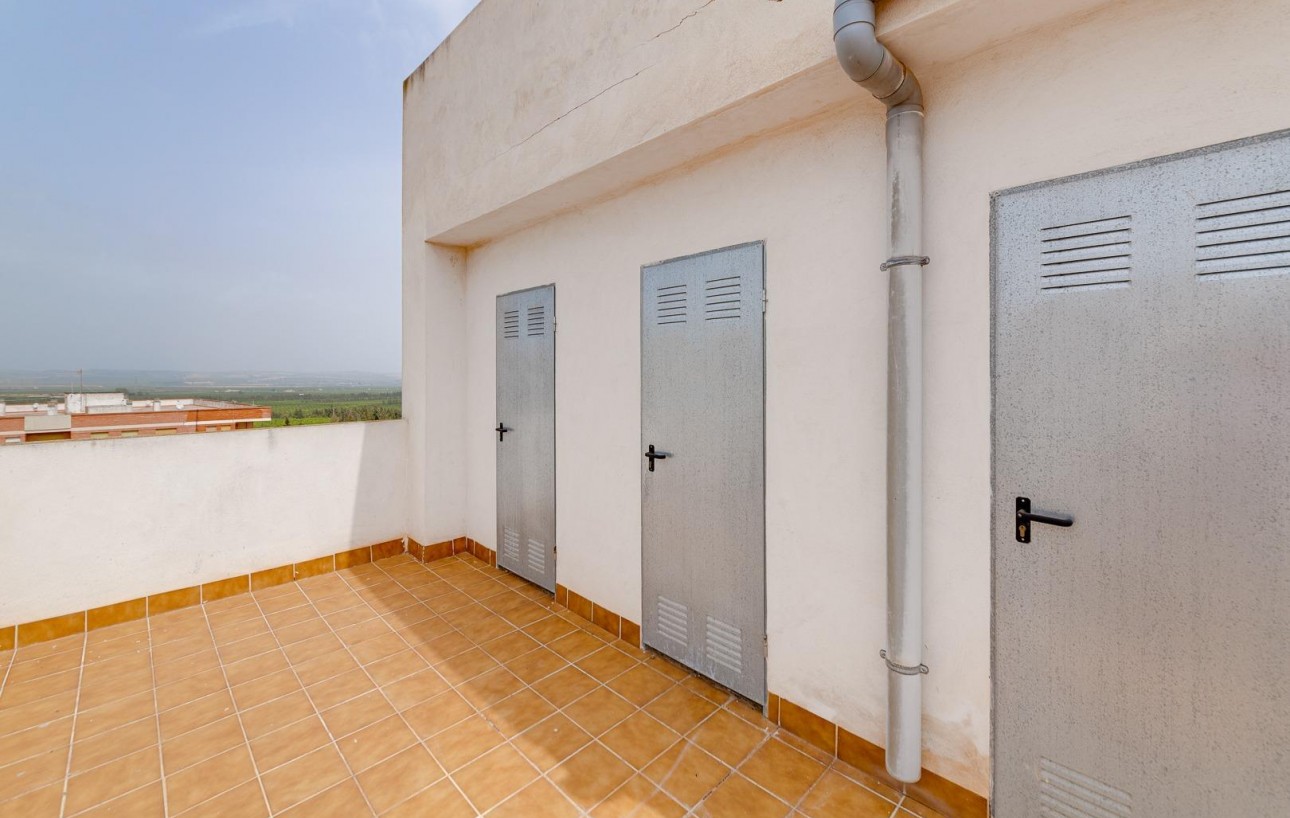 Sale - Penthouse - San Miguel de Salinas - CENTRO