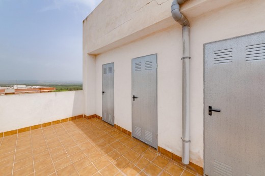 Sale - Penthouse - San Miguel de Salinas - CENTRO
