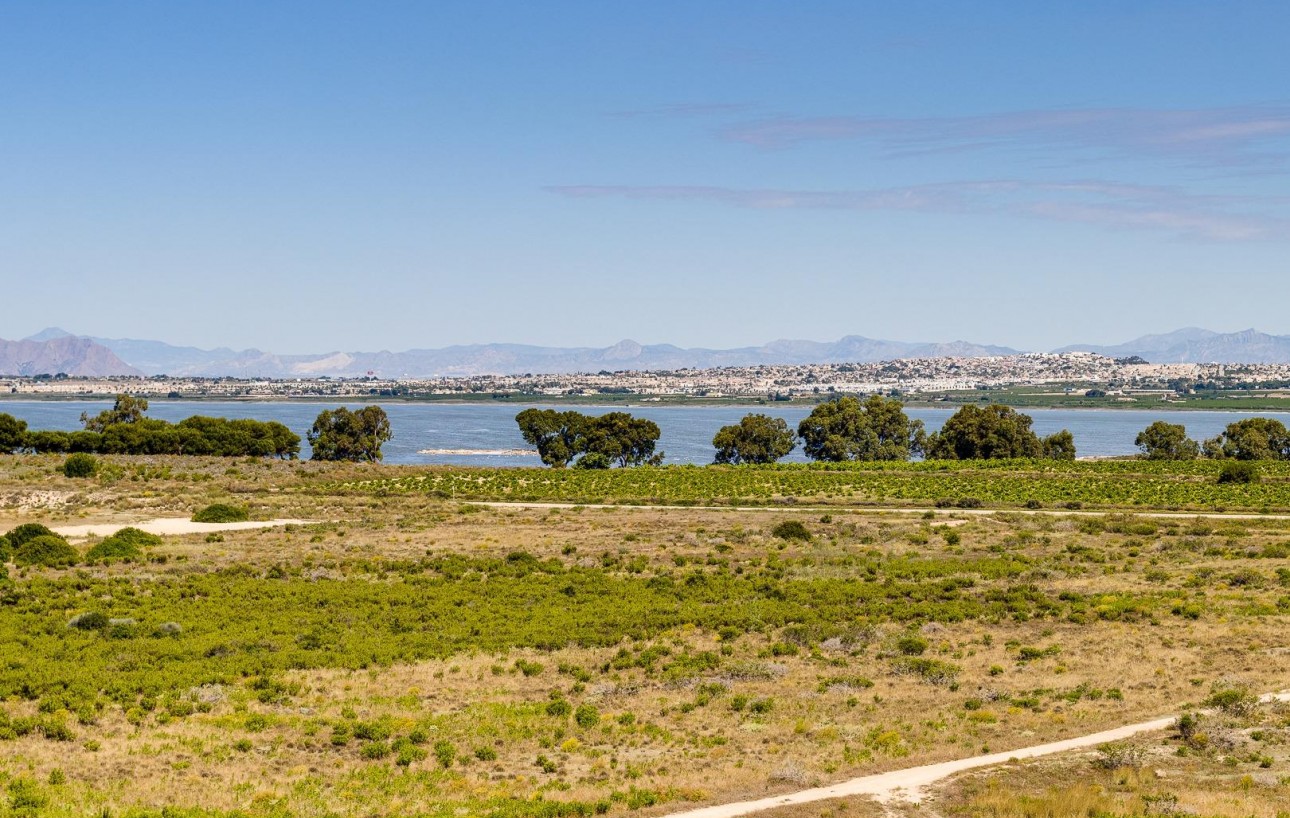 Venta - Chalet - Torrevieja - Torre la mata