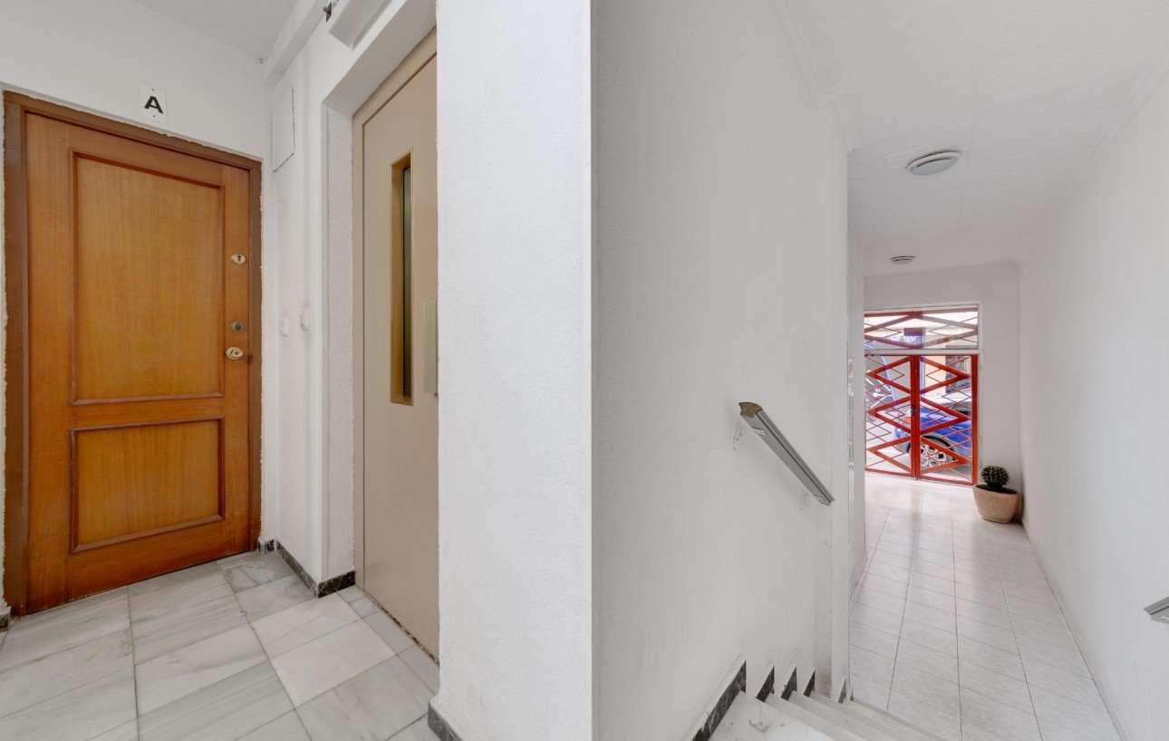 Venta - Apartamento - Torrevieja - Habaneras