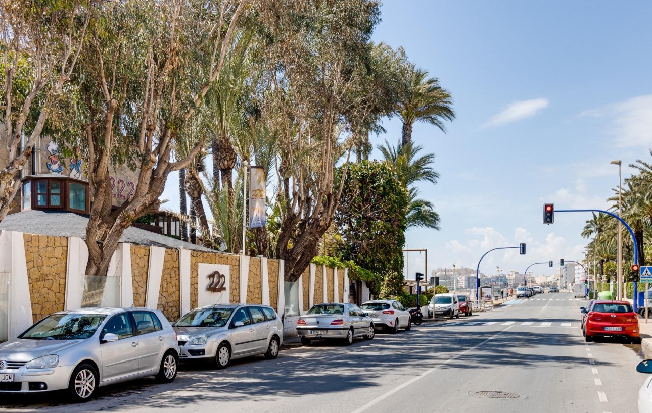 Resale - Chalet - Torrevieja - Rosaleda-los frutales