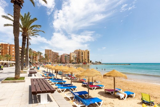 Resale - Chalet - Torrevieja - Rosaleda-los frutales