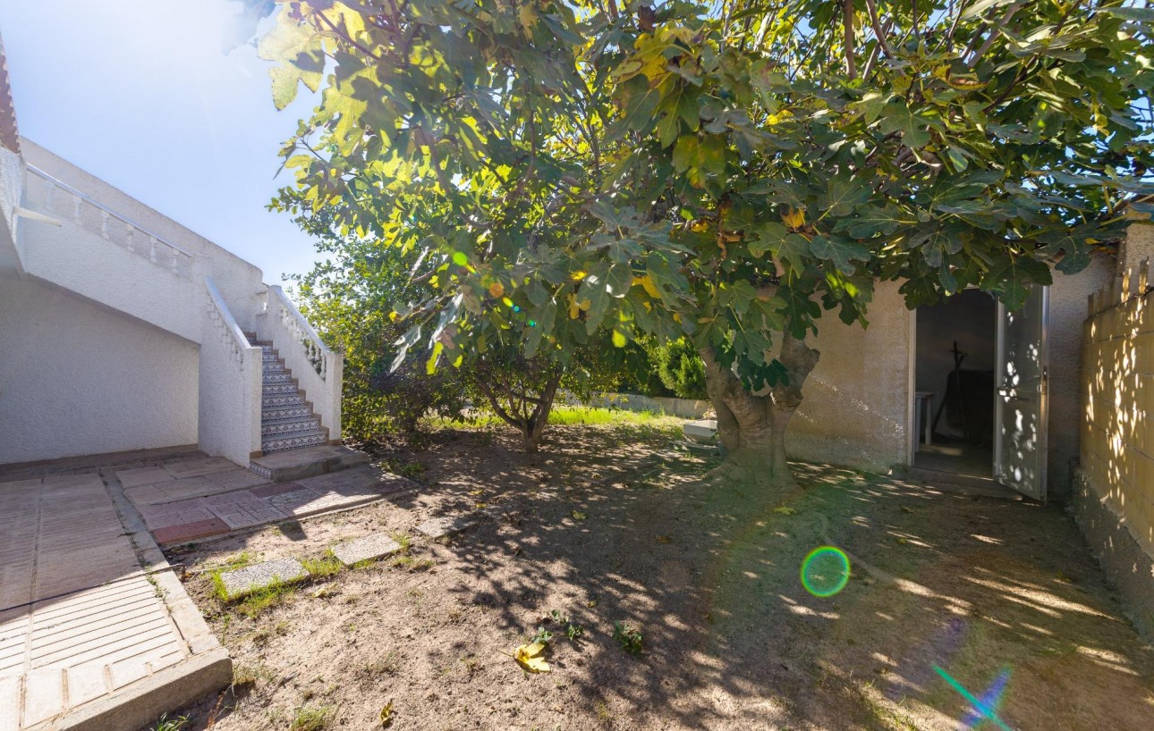 Venta - Chalet - San Miguel de Salinas - Ciudad de las comunicaciones
