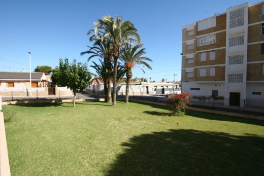 Resale - Lägenhet - Torrevieja - Los Frutales