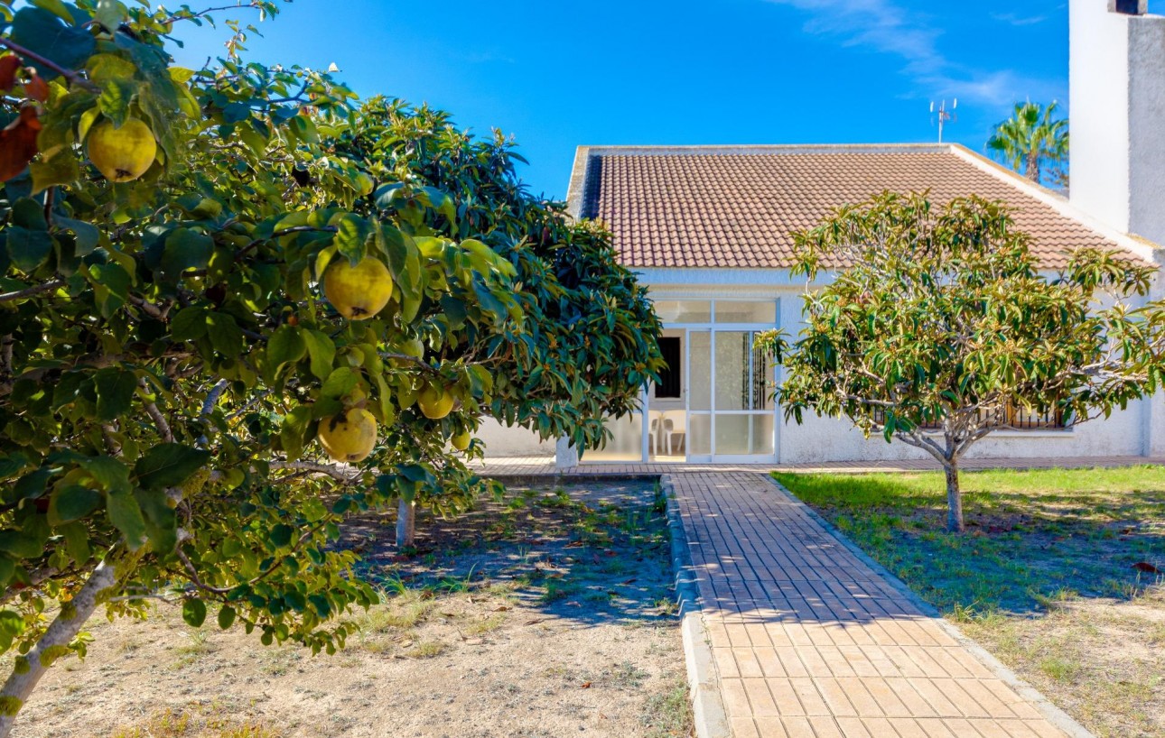 Venta - Chalet - San Miguel de Salinas - Ciudad de las comunicaciones