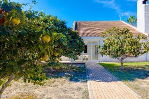 Venta - Chalet - San Miguel de Salinas - Ciudad de las comunicaciones