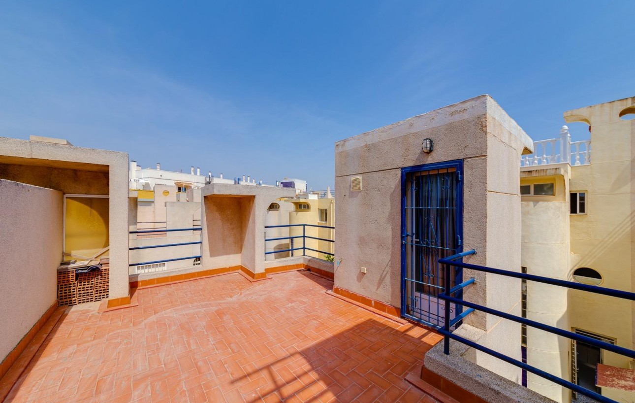 Venta - Chalet - Torrevieja - Torre la mata