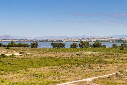 Venta - Chalet - Torrevieja - Torre la mata