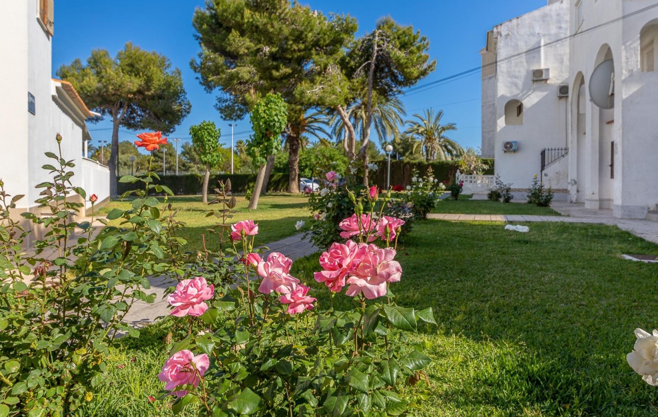 Venta - Apartamento - Torrevieja - Calas blanca