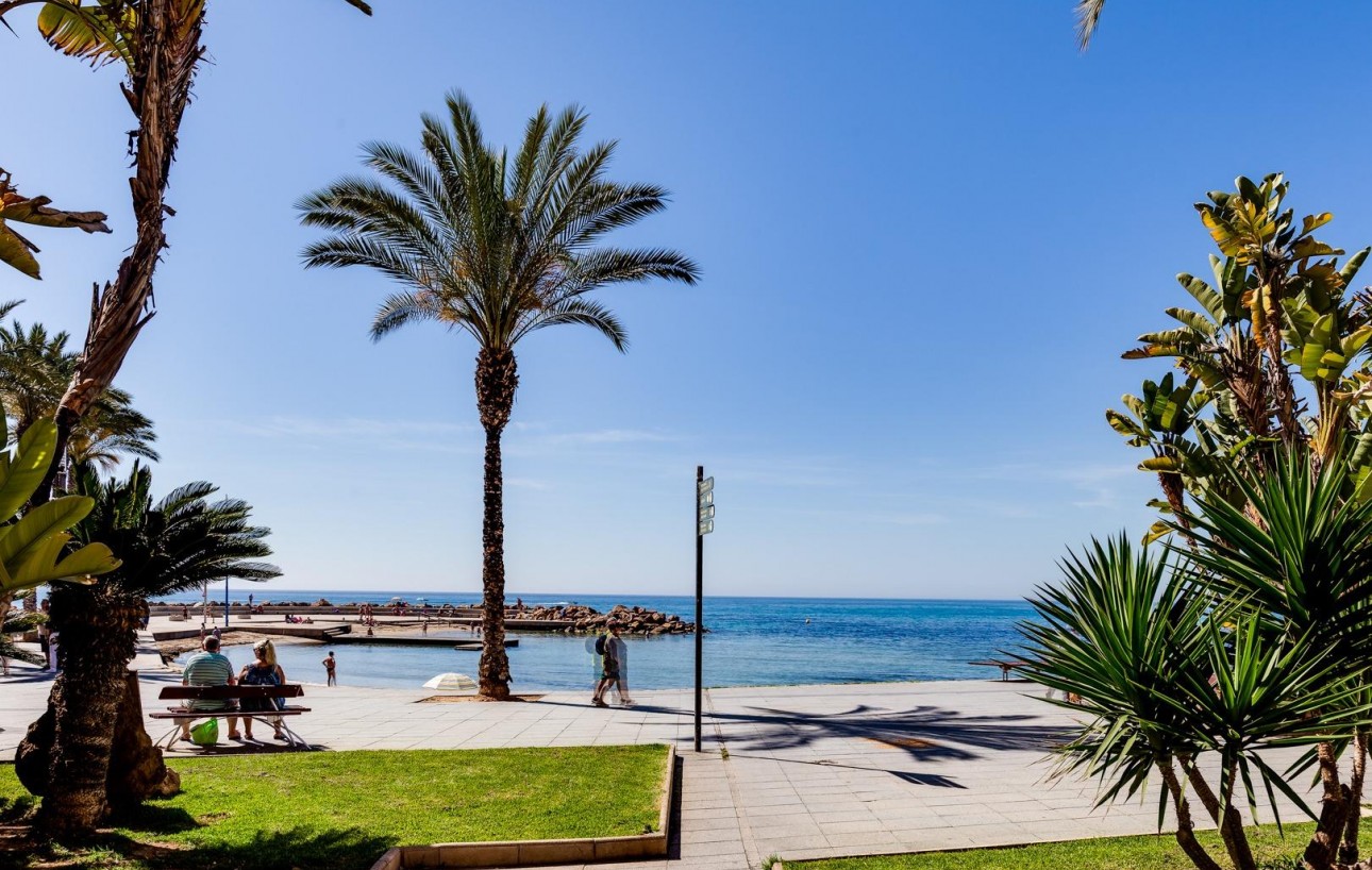 Resale - Studie - Torrevieja - Playa del cura