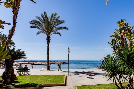 Resale - Studie - Torrevieja - Playa del cura
