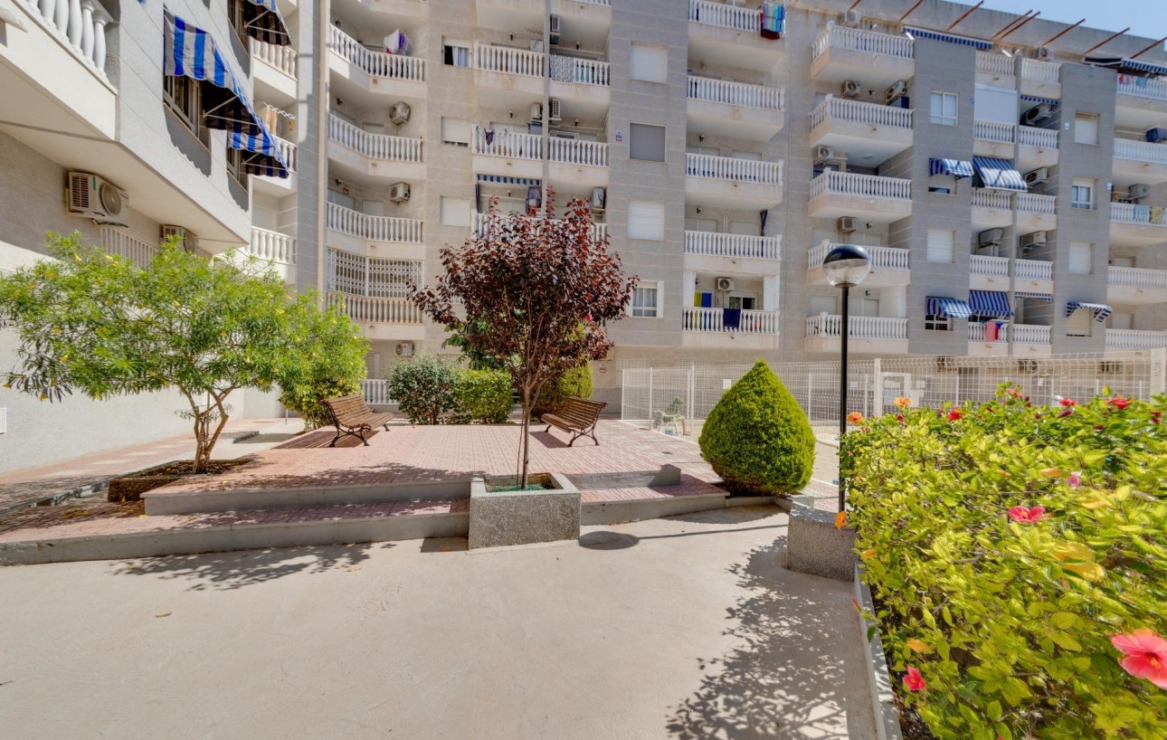 Sale - Penthouse - Torrevieja - Habaneras