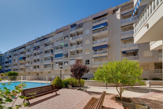 Sale - Penthouse - Torrevieja - Habaneras