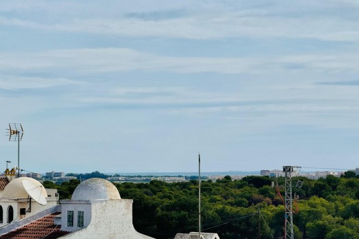 Revente - Bungalow - Torrevieja - La siesta