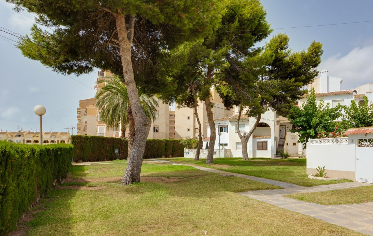 Revente - Appartement - Torrevieja - Calas blanca