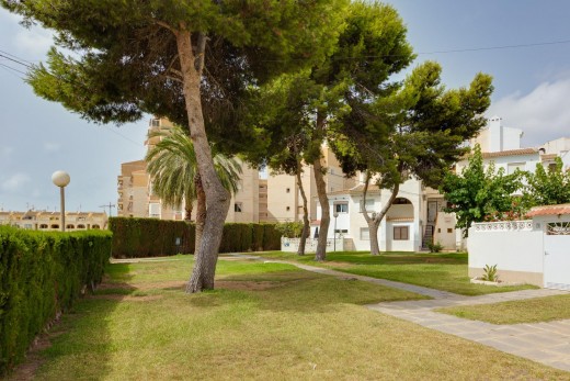 Resale - Wohnung - Torrevieja - Calas blanca