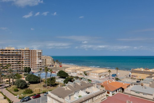 Revente - Étude - Torrevieja - La Mata