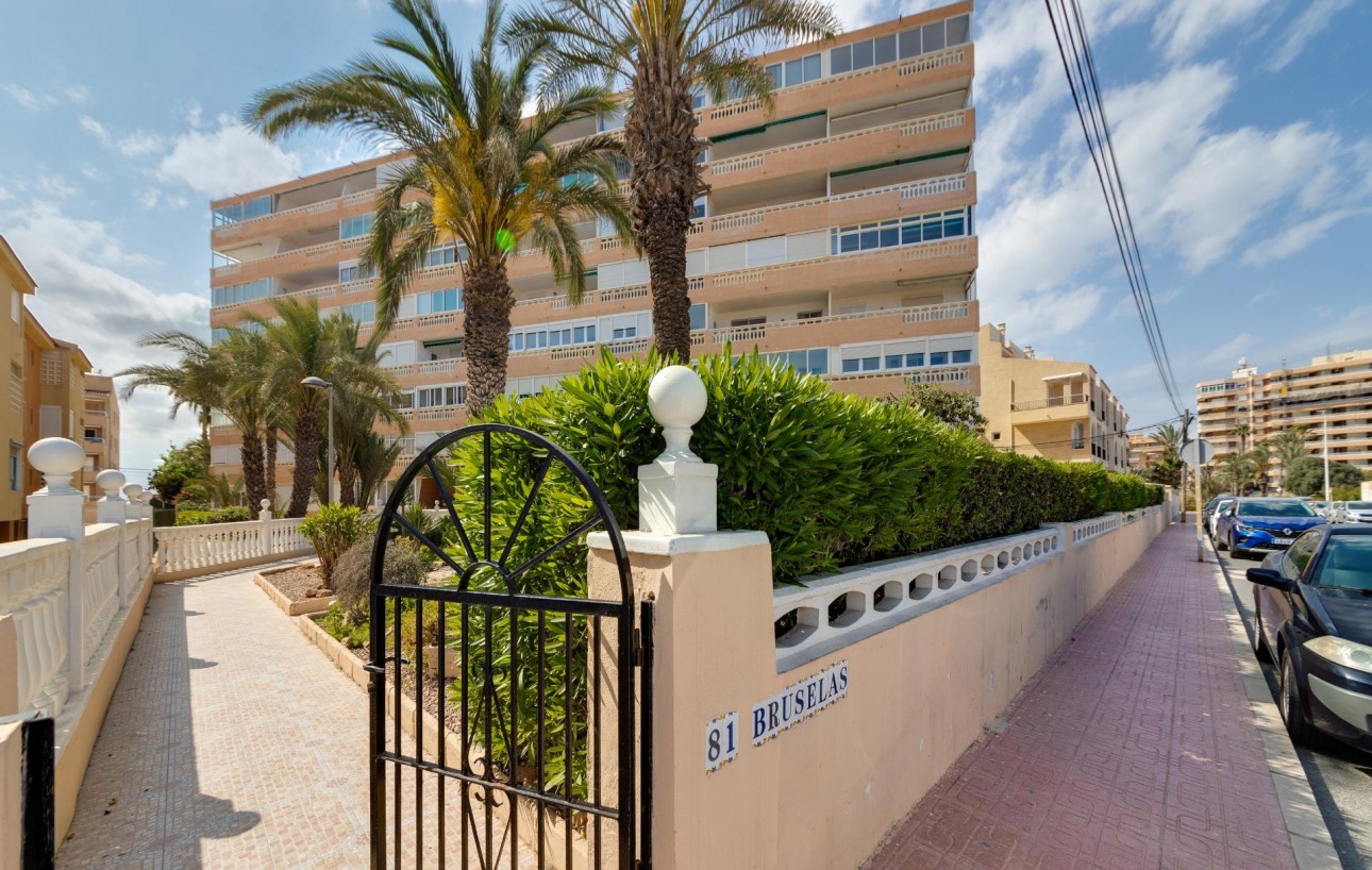 Revente - Étude - Torrevieja - La Mata