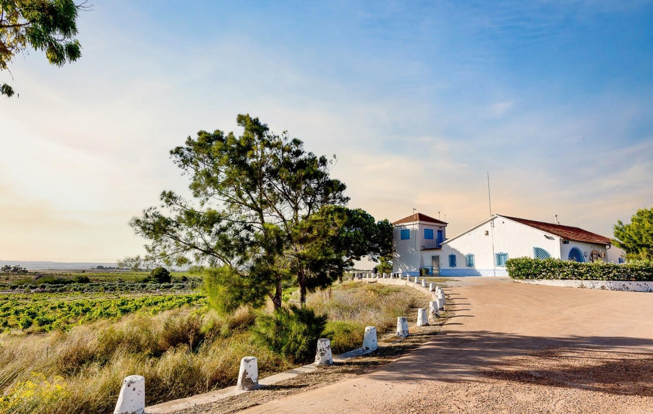 Revente - Chalet - Torrevieja - El chaparral