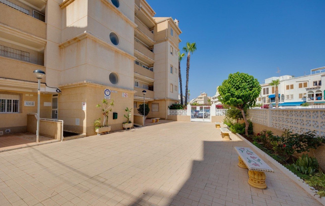 Revente - Appartement - Torrevieja - Playa del cura