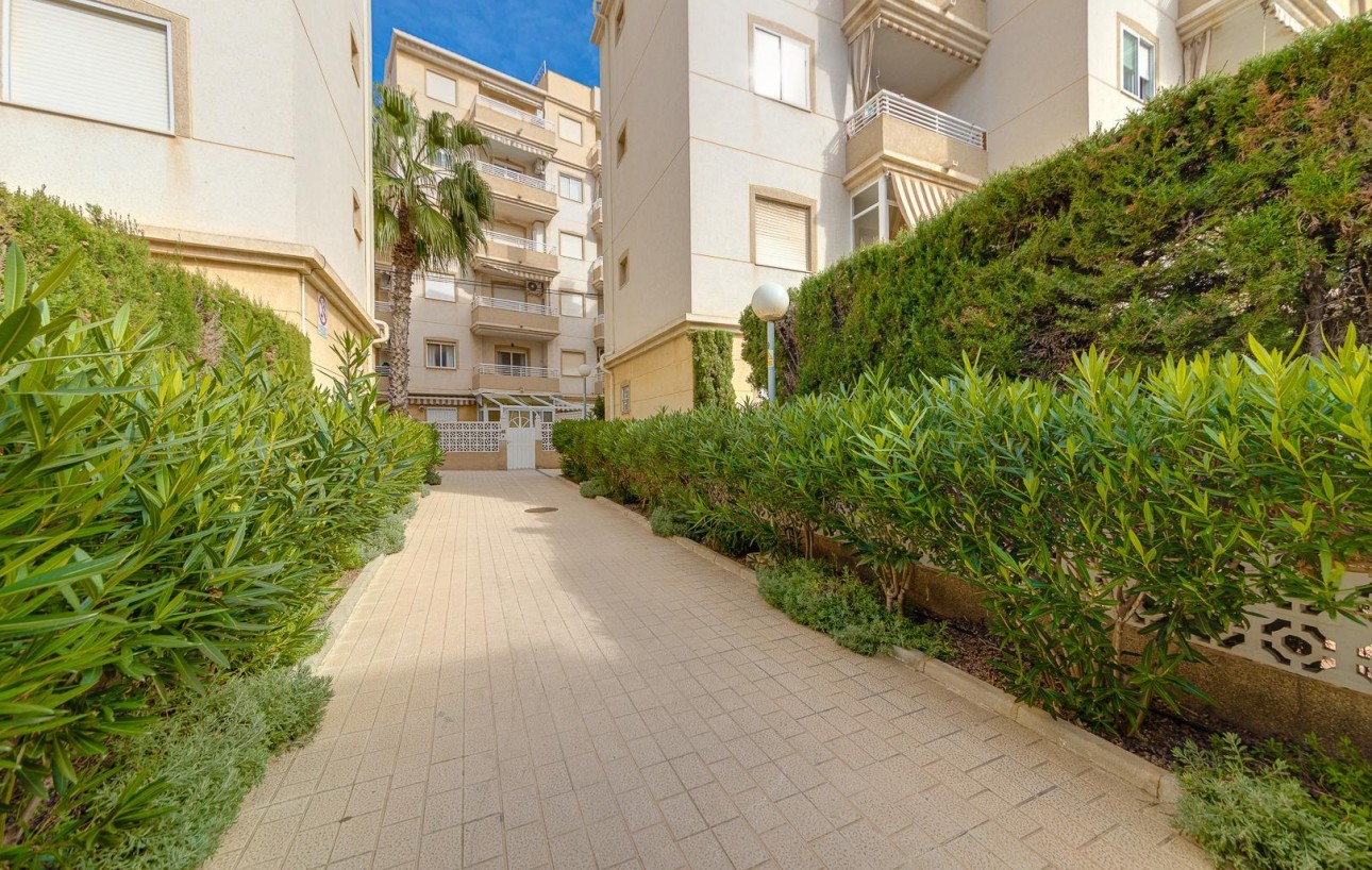 Revente - Appartement - Torrevieja - Playa del cura