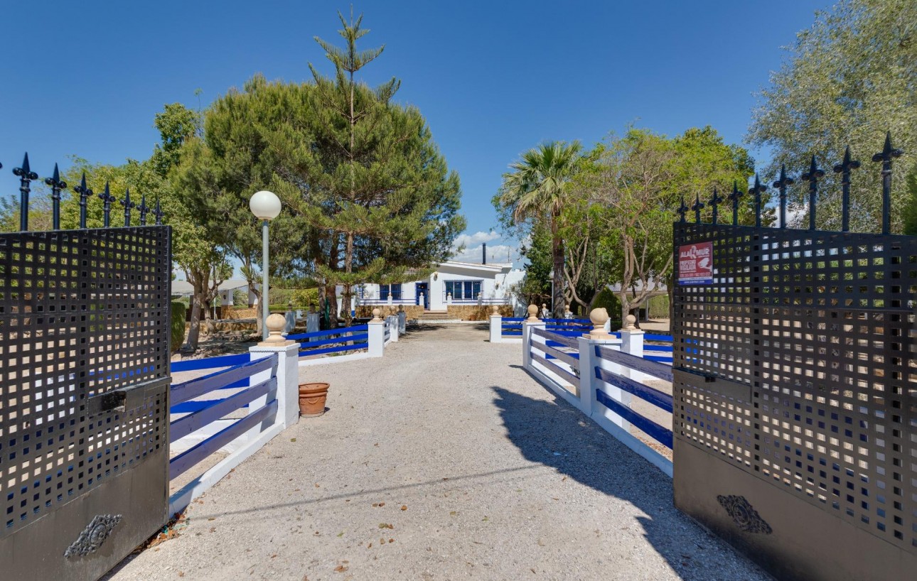 Resale - Chalet - Orihuela - Correntías Bajas