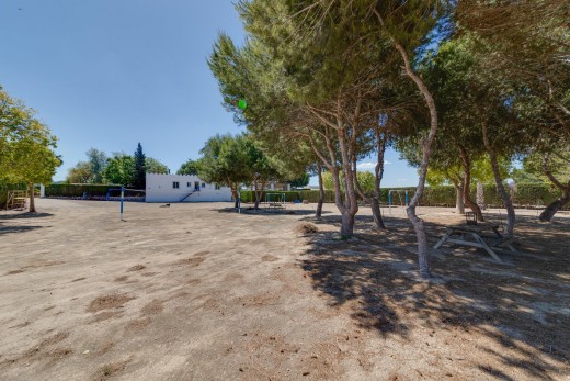 Venta - Chalet - Orihuela - Correntías Bajas