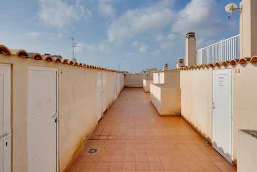 Sale - Apartment - Torrevieja - Playa de los locos