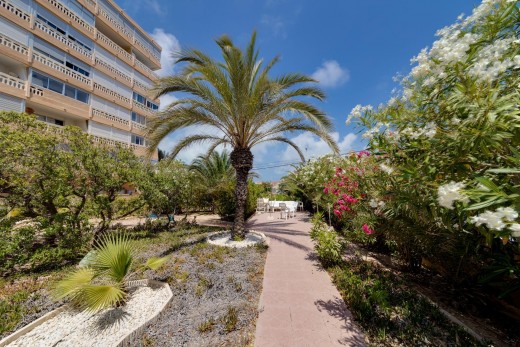 Sale - Apartment - Torrevieja - La Mata