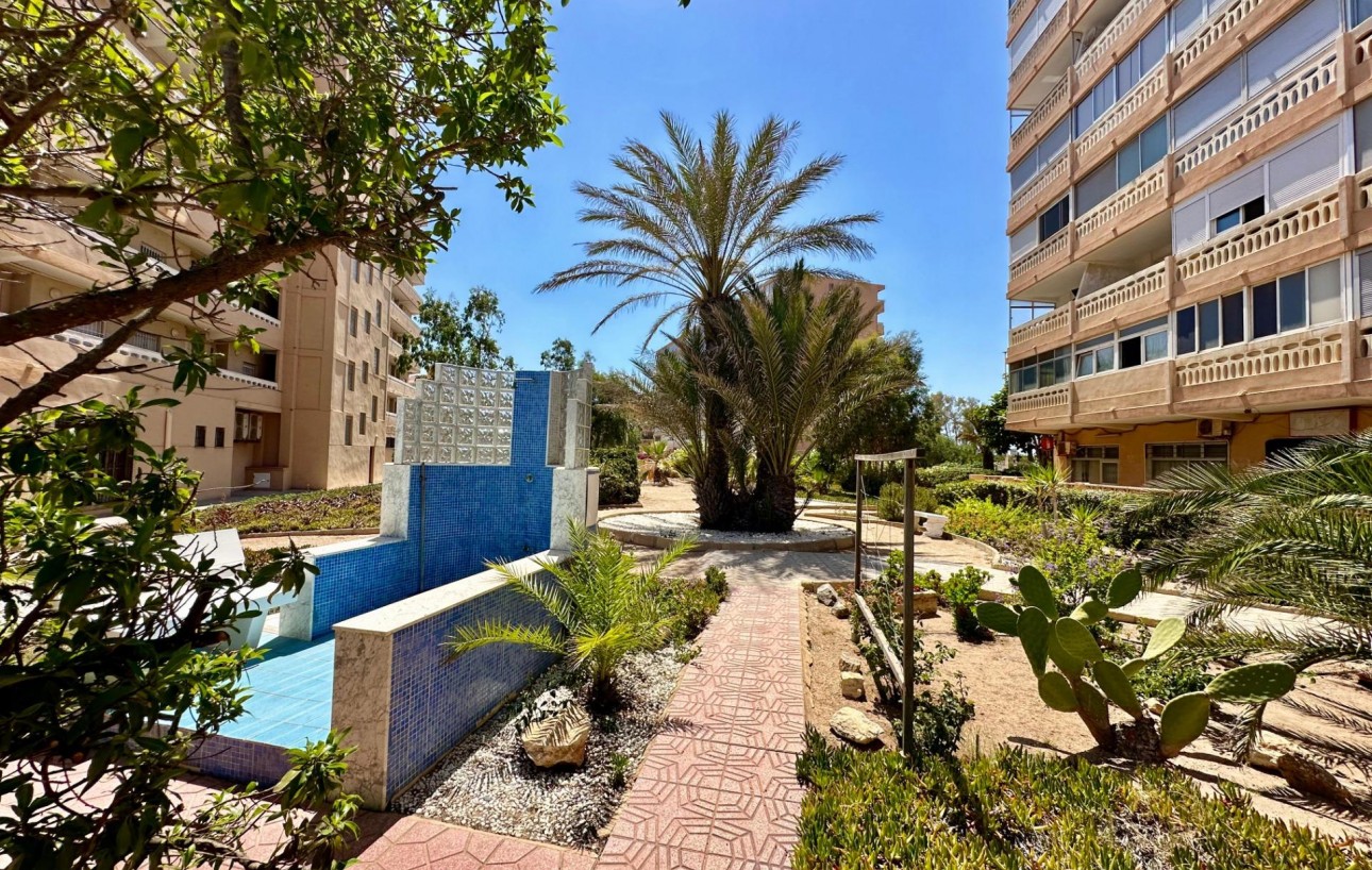 Venta - Apartamento - Torrevieja - La Mata