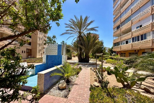 Venta - Apartamento - Torrevieja - La Mata