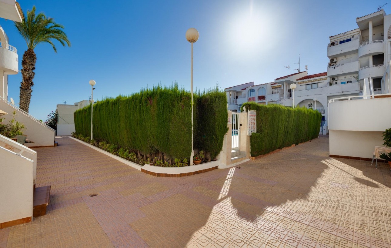 Venta - Apartamento - Torrevieja - Torreblanca