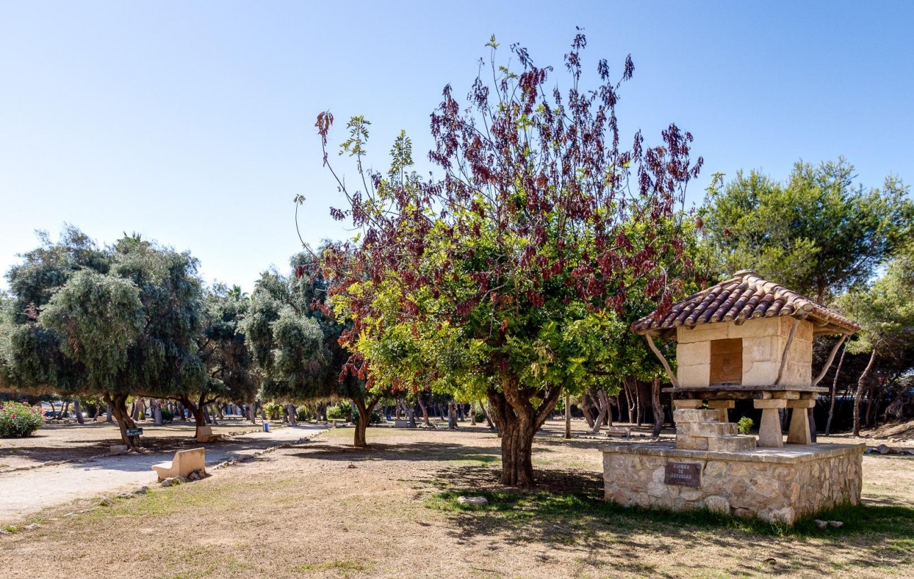 Revente - Étude - Torrevieja - Acequion