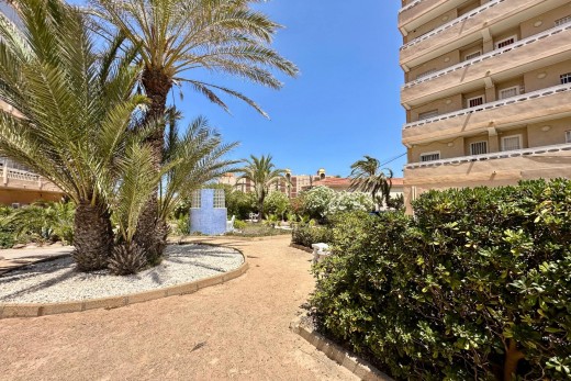 Resale - Lägenhet - Torrevieja - La Mata