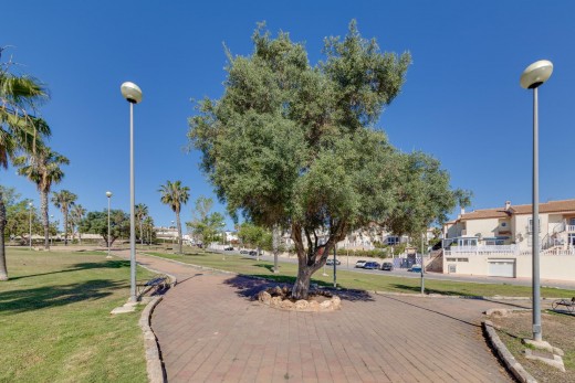 Venta - Bungalow - Torrevieja - Los altos