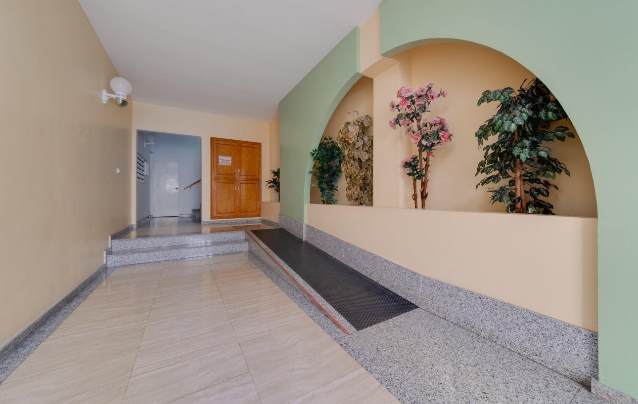 Revente - Appartement - Torrevieja - Acequion