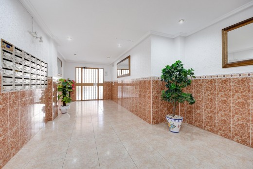 Venta - Apartamento - Torrevieja - Habaneras