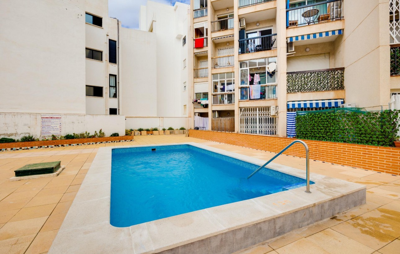 Venta - Estudio - Torrevieja - Playa del cura