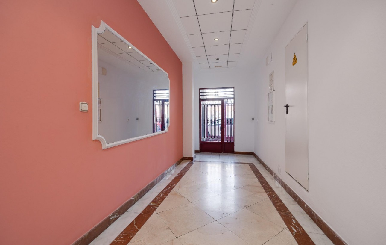 Venta - Estudio - Torrevieja - Centro