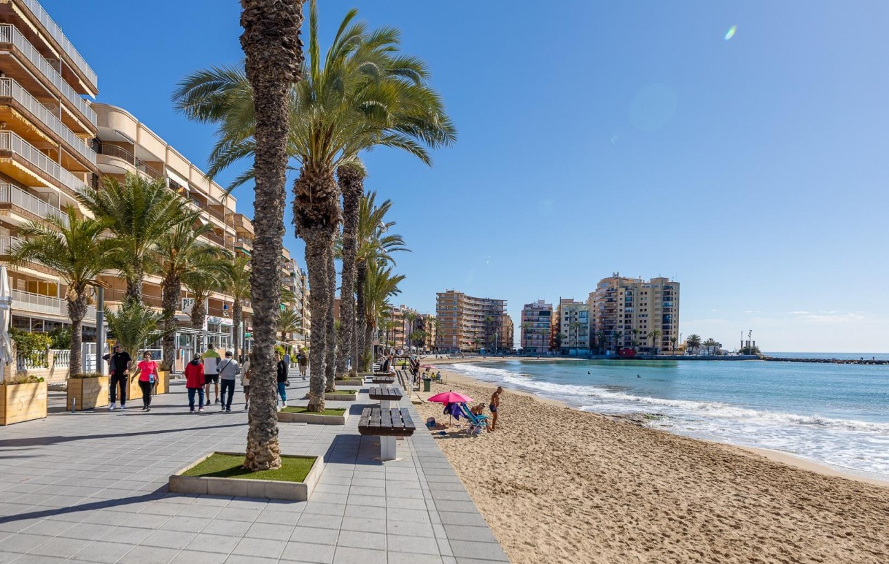 Revente - Étude - Torrevieja - Centro