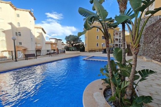 Sale - Piso - Campoamor - Orihuela costa