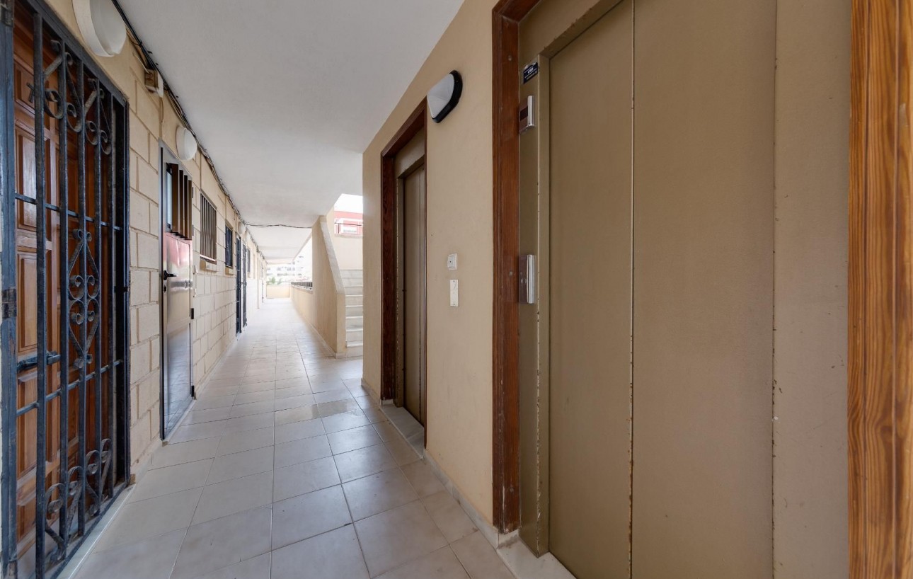 Sale - Apartment - Torrevieja - Cabo cervera