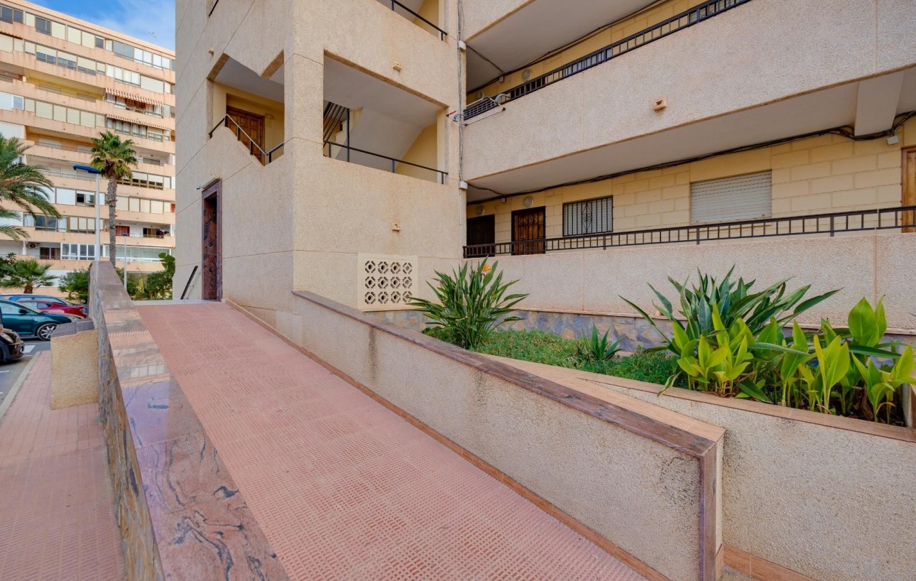 Sale - Apartment - Torrevieja - Cabo cervera