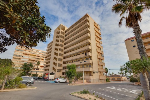 Sale - Apartment - Torrevieja - Cabo cervera